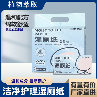 Degradation Toilet paper Homewear 50 Independent packing Dedicated disposable Wipes goods in stock wholesale