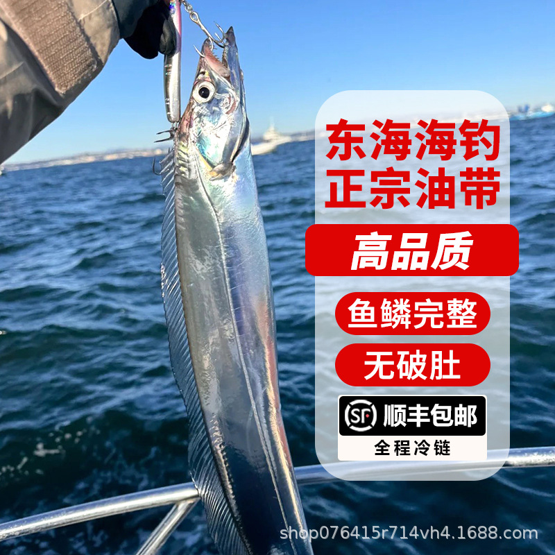 新鲜冷冻海钓带鱼舟山小眼睛钓带海鲜整条东海带鱼3斤可一件代发