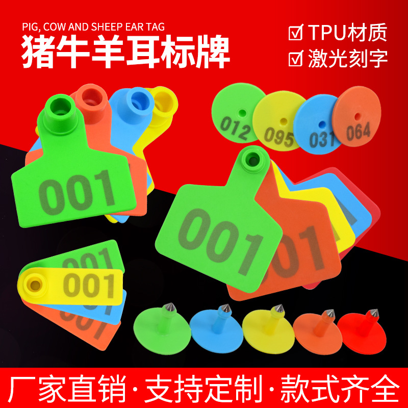 Etiqueta de oreja de cerdo, ganado y oveja con palabras Etiqueta de oreja de oveja etiqueta de número Etiqueta de oreja de oveja con palabras Etiqueta de oreja de oveja