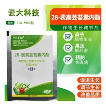 녴�YD-120 28-����̦ܿ�؃���ˮ��С���������L�{���� 10����