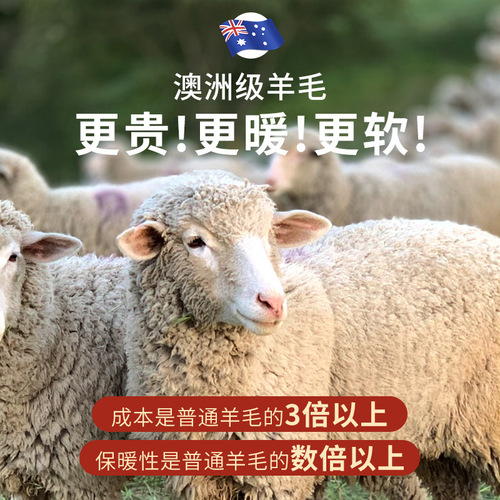 High-quality sheep wool, mulberry silk, German velvet thermal vest, women's fixed cup, no-wear bra, thermal underwear, anti-pilling