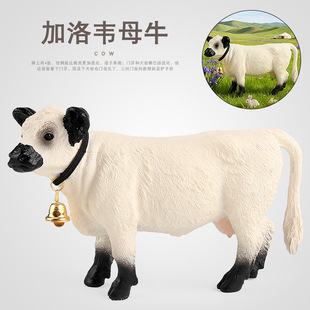 �羳�������ģ���r����������fĸţ��˹͡��ţ���T������ţ�[��