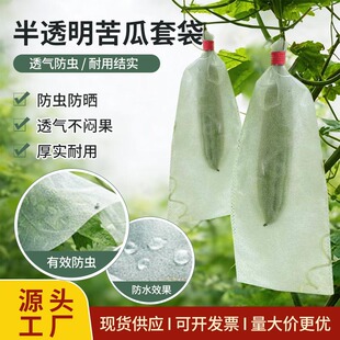 ����״����Ͻz�Ϲ��� ͸���͸����x�o�������zһ�wˮ�������