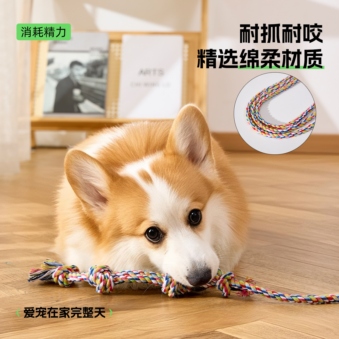 Nuevo juguete para perros, palo divertido para perros, juguete para perros, palo divertido para perros, palo divertido para gatos, palo de entrenamiento para mascotas, explosión de comercio exterior