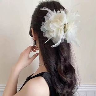 ���|���ɷՇ����p����ë����ץ�A�����^�l�AŮ���X�״�̖���~�A37