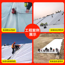 800g复合土工膜两布一膜人工湖防渗膜河道防渗长丝复合土工膜厂家