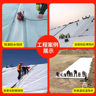 800g复合土工膜两布一膜人工湖防渗膜河道防渗长丝复合土工膜厂家