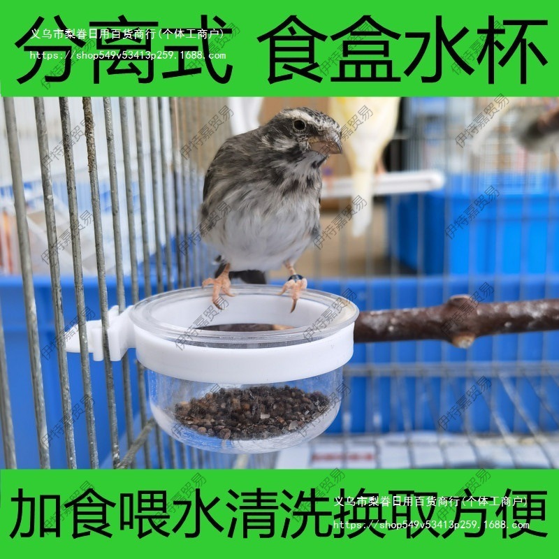 鳥用ソフトフードプレート、フードボウル、分離フードボックス、翡翠鳥、ハイビスカス鳥、カナリア、ゴールデングリーンアッシュスワロー、シスターズバード、オウム|undefined