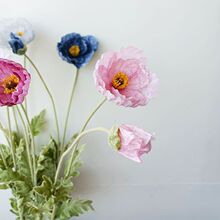 �ͮ���ֲ�q������u��̖�����˻�c�Ĕz���߻�ˇ��Y·�������[��