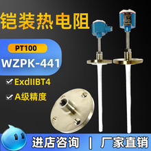 防爆热电阻Pt100铠装耐高温工业用不锈钢A级精度温度传感器上仪