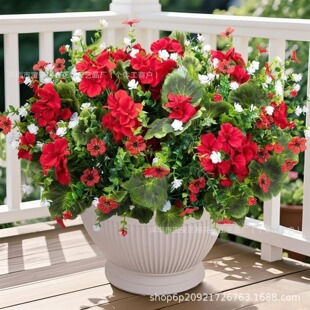�羳���R�d�}�Q�t7�^�ȼ�����ţ���軨���Ļ��Ҿӻ�c�Ɍ���ƿ��