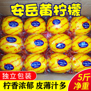 �������r �Ĵ������������rˮ������9�ﾫ�xƤ����֭��ˮ�r������