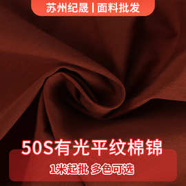 工厂批发50S有光平纹棉锦面料50S*40D+/182*114衬衫长袖休闲布料
