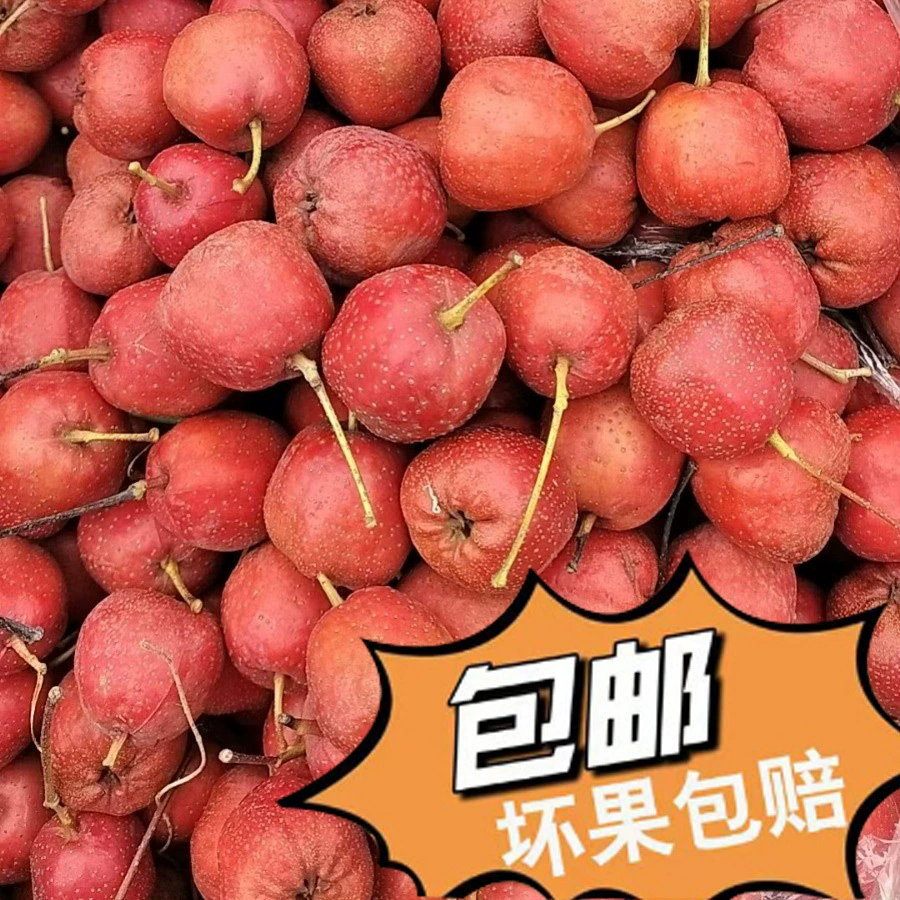 Бесплатная доставка свежего боярышника, крупные пятигранные ягоды оптом, от 45 до 50 штук в фунте, напрямую с места происхождения. Скидки на большие объемы