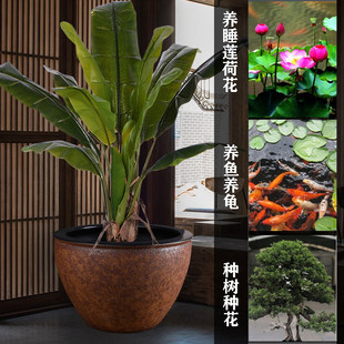 ������մ��~���໨�ɴ�ˮ�ב���һ��˯ɏ�̨��ʽ�B�~��ͥԺ�ϸ�