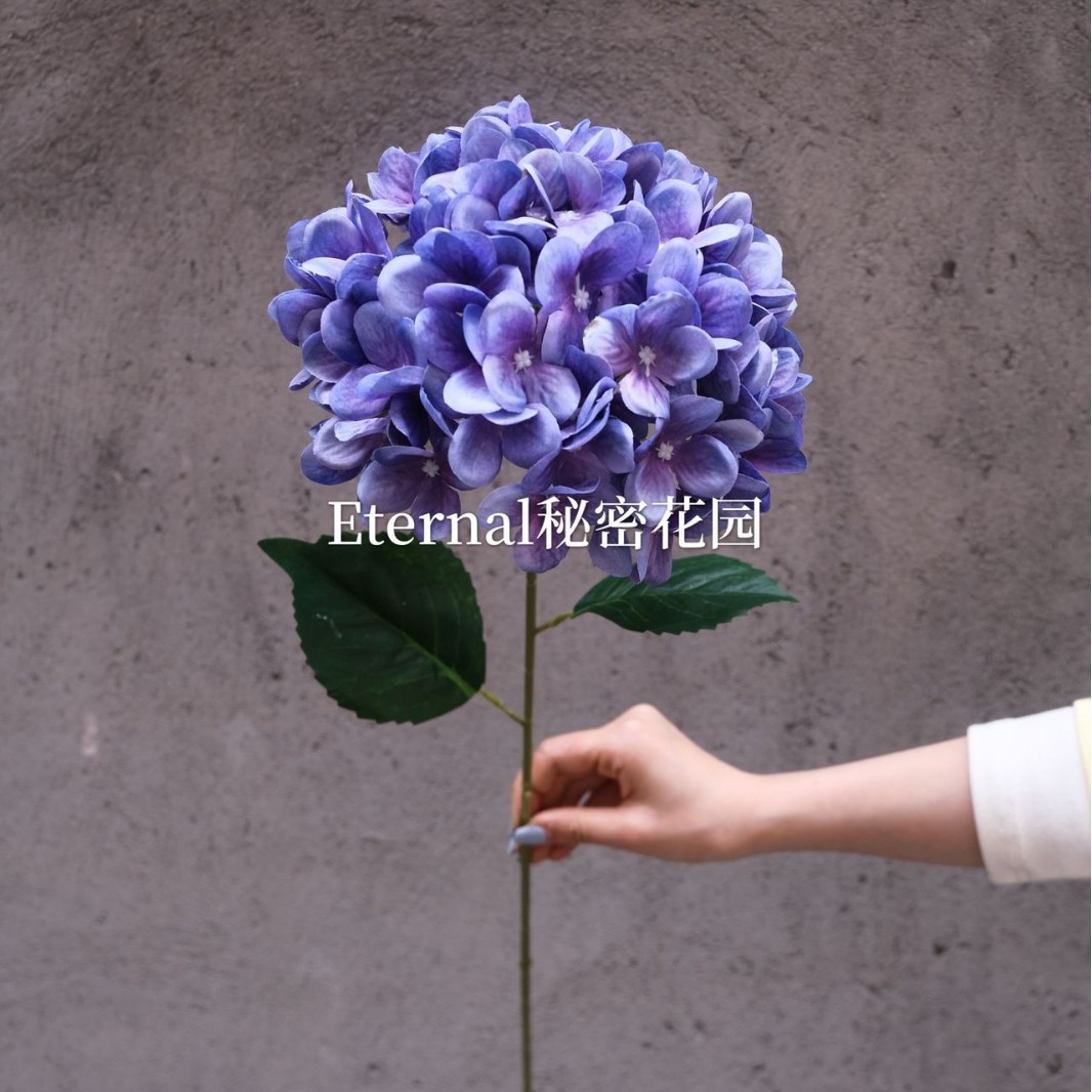 진한 보라색