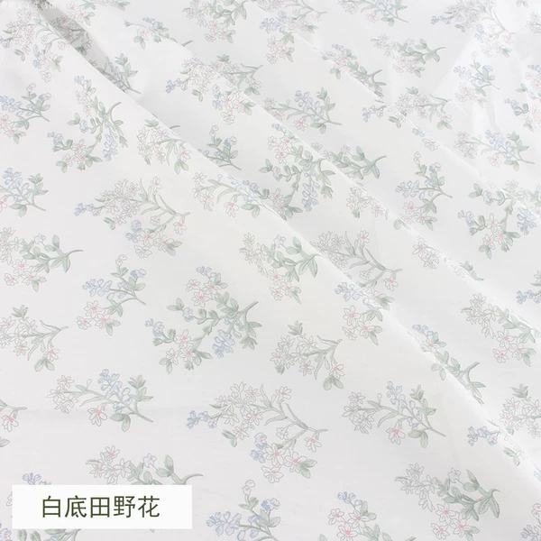 Field flowers on white background