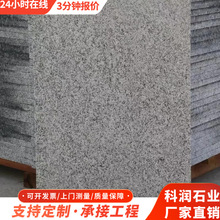 �¹����f�Y������ʯ�幫�@�V��䁵���ʯ���ͥԺ�˹�������·ʯ