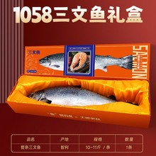 �����~���l�Y���b�������q�~�Ƶ꺣�r�����������˾ʳ�����l