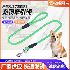 ペットリード太くて耐久性のあるナイロン丸ロープ夜間反射蛍光グリーン犬リードペット用品