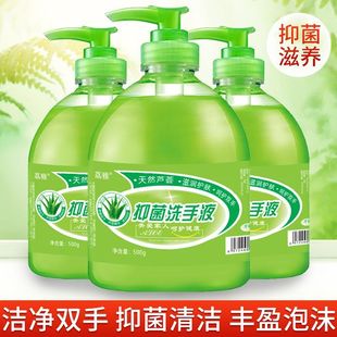 Hand Sanitizer Household Disinfection Wholesale Press Bottle Foam Type Household Household Aloe Vera Flavor Portable Package