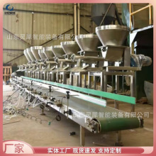 称重精度高电子皮带秤 实时监测矿用电子皮带秤 ICS电子皮带秤