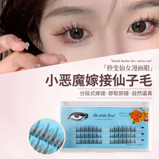 Little Devil Cosplay Manga-Style Segmented Thick Single-Cluster False Eyelashes Natural Fairy Grafting Hair Fairy Style