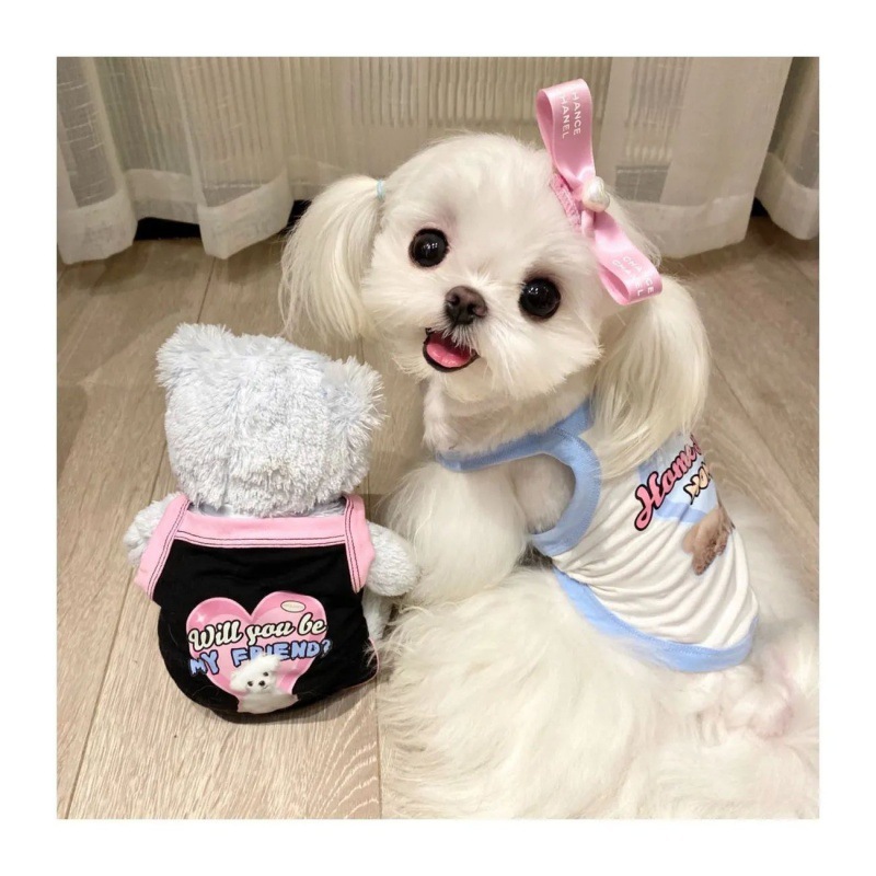 국경 애완 동물 옷 개 가을 조끼 향신료 MARZIS 곰 테디 보메이 애완 동물 강아지 옷
