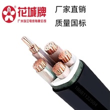 �V���齭��|������ZC-YJV4*95+1*50ƽ��������ȼ�~о��|ZC-VV