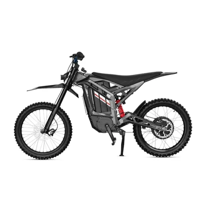 Electric Self-Version Flash Ss9.0, Elektrikli motosikletlər