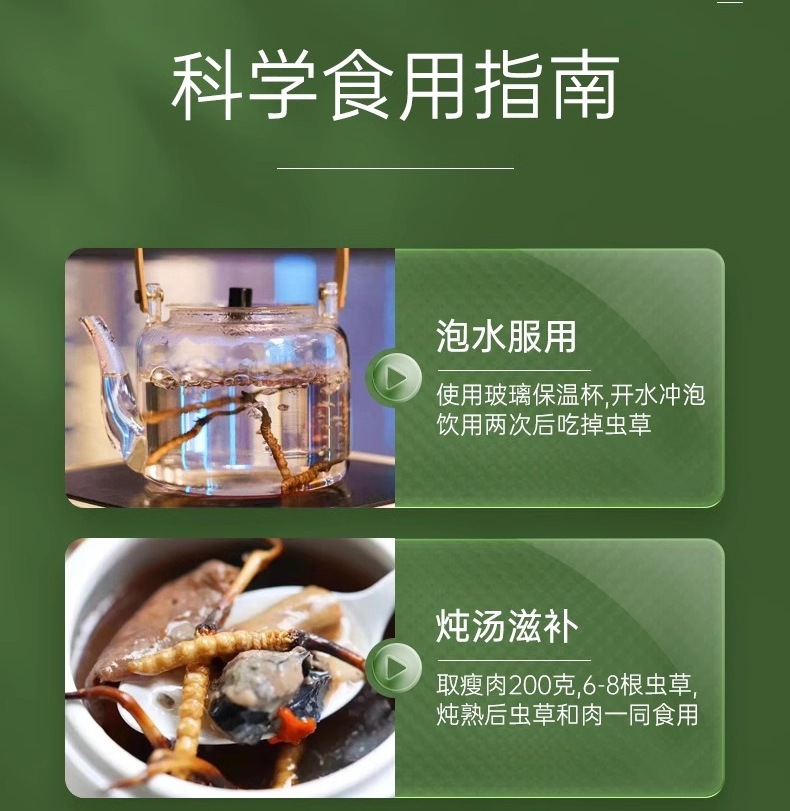 Dried Cordyceps Sinensis Dong Chong Xia Cao Whole Caterpillar Fungus Tibetan Nagqu Wild-Harvested Tonic Herb for Cooking and Decoction in use