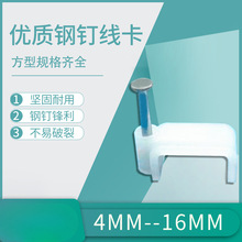 �����ӾW����ᔾ����̶�ᔿ�늾��������ܿ�����456789 10 12MM