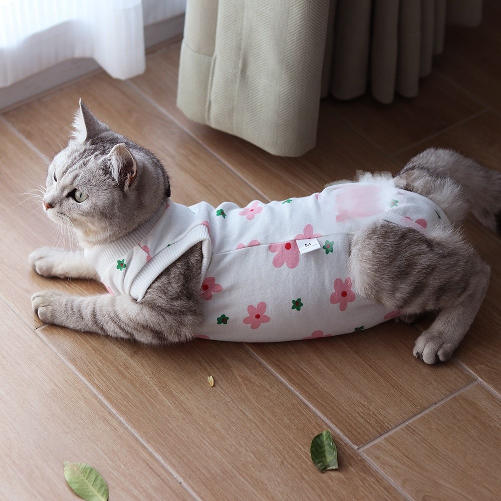 花朵侧.jpg