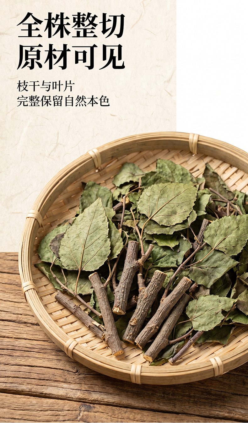 Dried Mulberry Mistletoe Sang Ji Sheng Cut Segments Natural Sun Dried Herb for Decoction and Tea 500g key features
