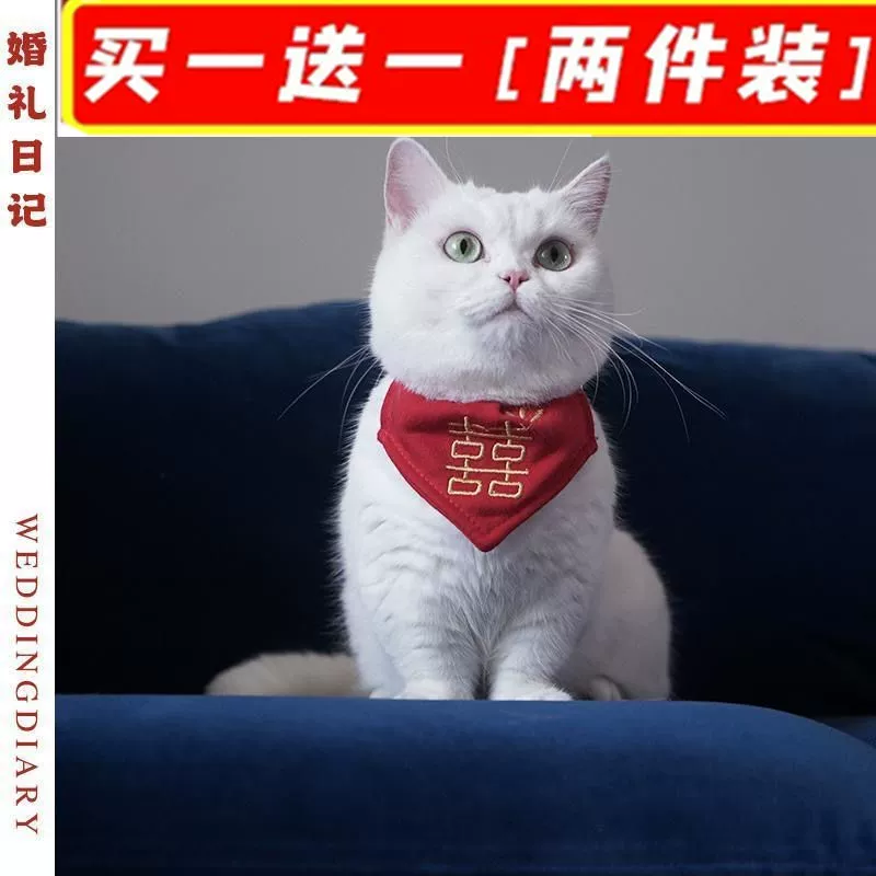 Нагрудник для домашних животных, шарф с кошачьей слюной, украшение нагрудника для домашних животных на свадебное торжество, ошейник с счастливым словом