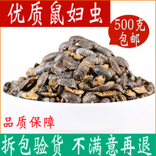 ��D�x��䁳��x ��ʭ ��� ����500�˰��]�x��؛��؛