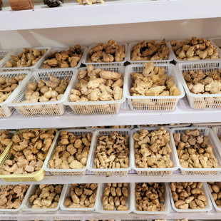 ��ľ�ְѼ� �����ְѼ��ؔ��[�� ��Ф�ɐ��Ʒ�����ְѼ�����[��