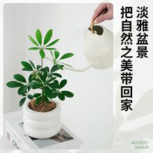 �lؔ���k���ҾGֲ���B��߼����澫�µ��mС���Ի�������ֲ���҃�