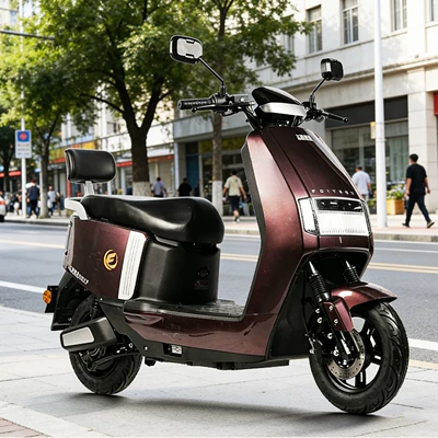 Long-Distance Riding Champion, Direct Supply – Elektrikli motosikletlər