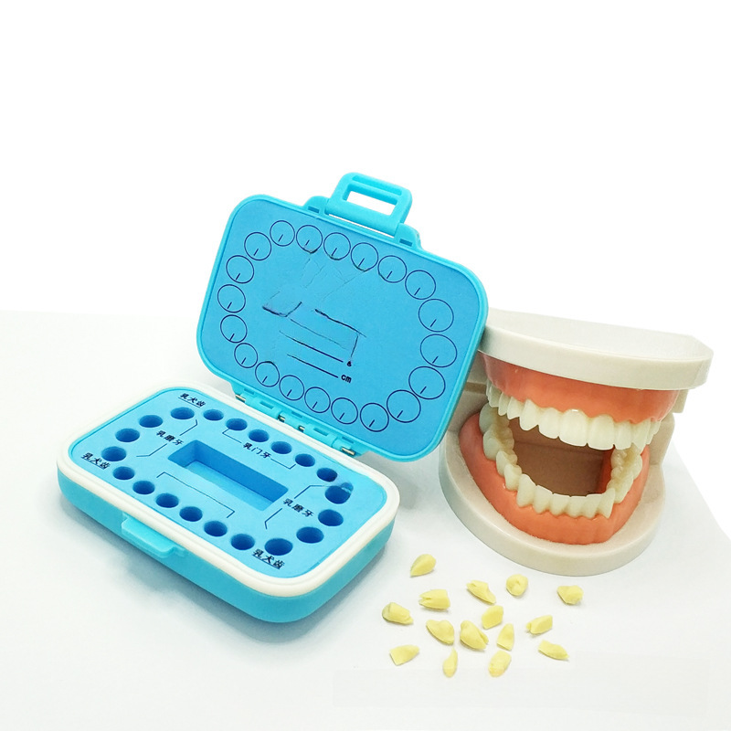Rainbow Baby Tooth Box in Use