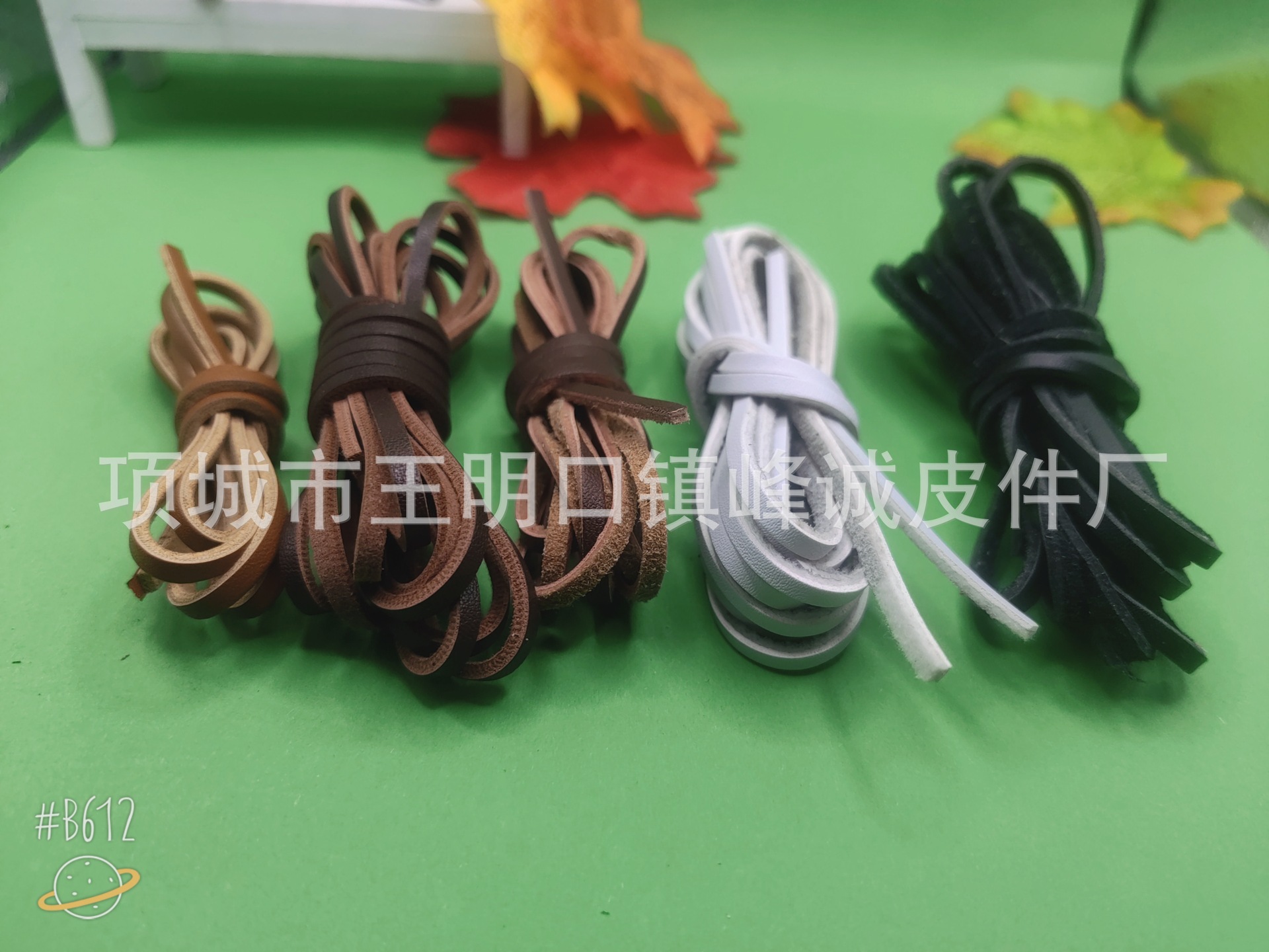 B612Kaji_20240119_203312_364