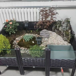 Yellow-Tailed Turtle Breeding Tank, Anyuan Taiyuan Closed-Shell Turtle Seedling Landscaping Plant Ecological Environment, Turtle-Specific Tank Breeding Box