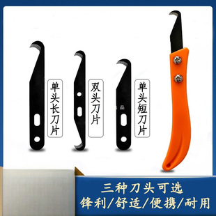 ��Y���㽶���h��Ƭ�������������Ƥ����s��С砵������S����