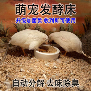 � ����l�ʹ��u���u�l�͉|���u��С�u�Bֳ�B�}���g������