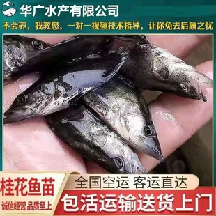 ����ҹ��~����~�Z�~�绨�a�����~�絭ˮ�Bֳ���w