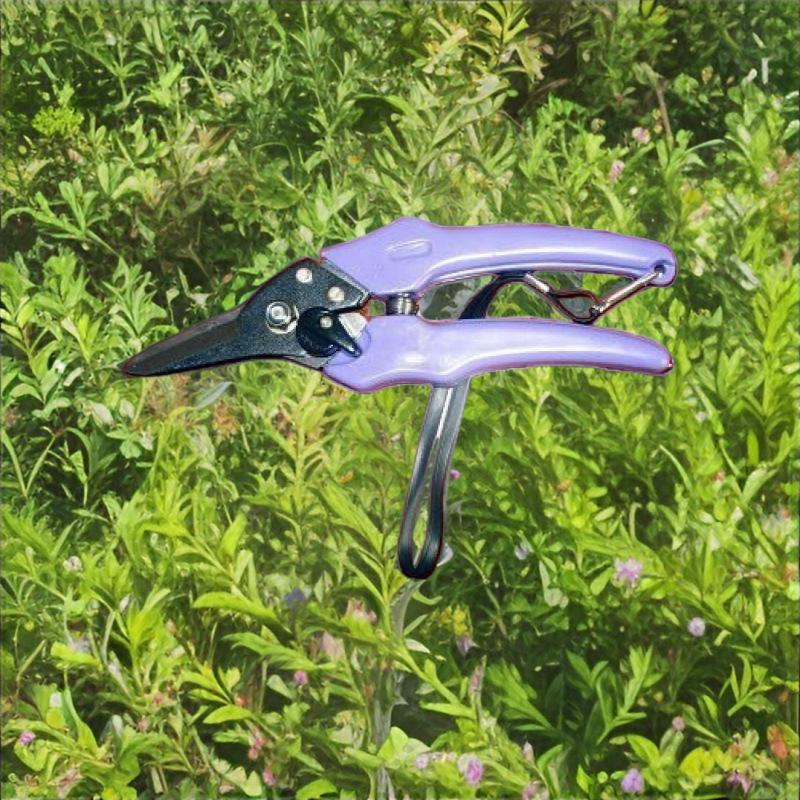 厂家直销高质量园林剪修枝剪树枝剪果枝剪摘果剪   欢迎选购