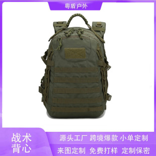 1000D��������������ˮ���ⱳ��܊�ԑ��g�p���molleϵ�y���g����