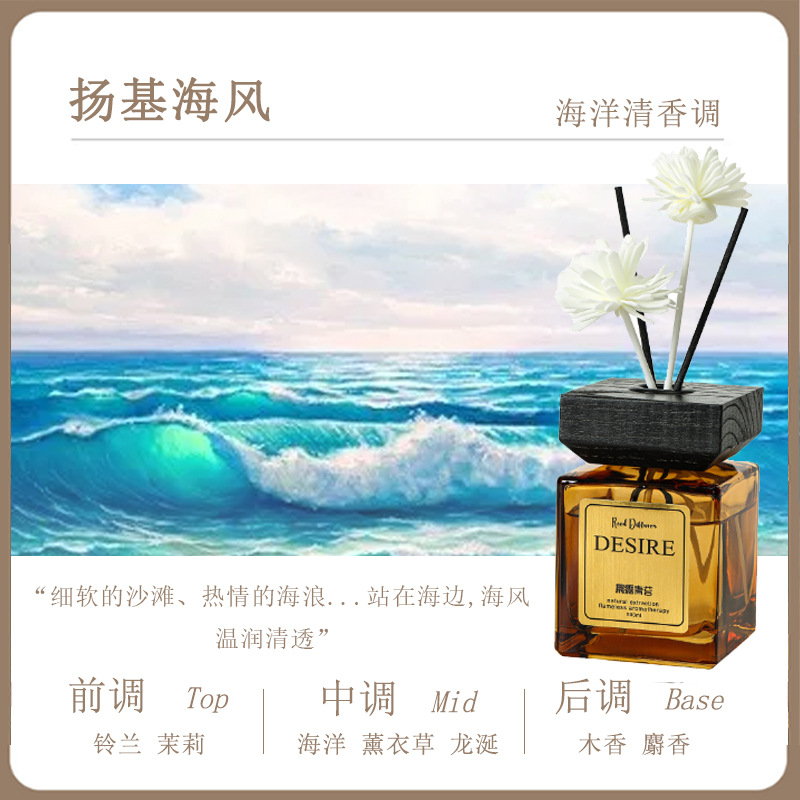 양키 오션 [여름 필수품]