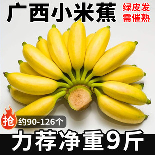 �V��С�׽��㽶�GƤ�l����쑪�������rˮ���Ꭷ����ܛŴ����5��