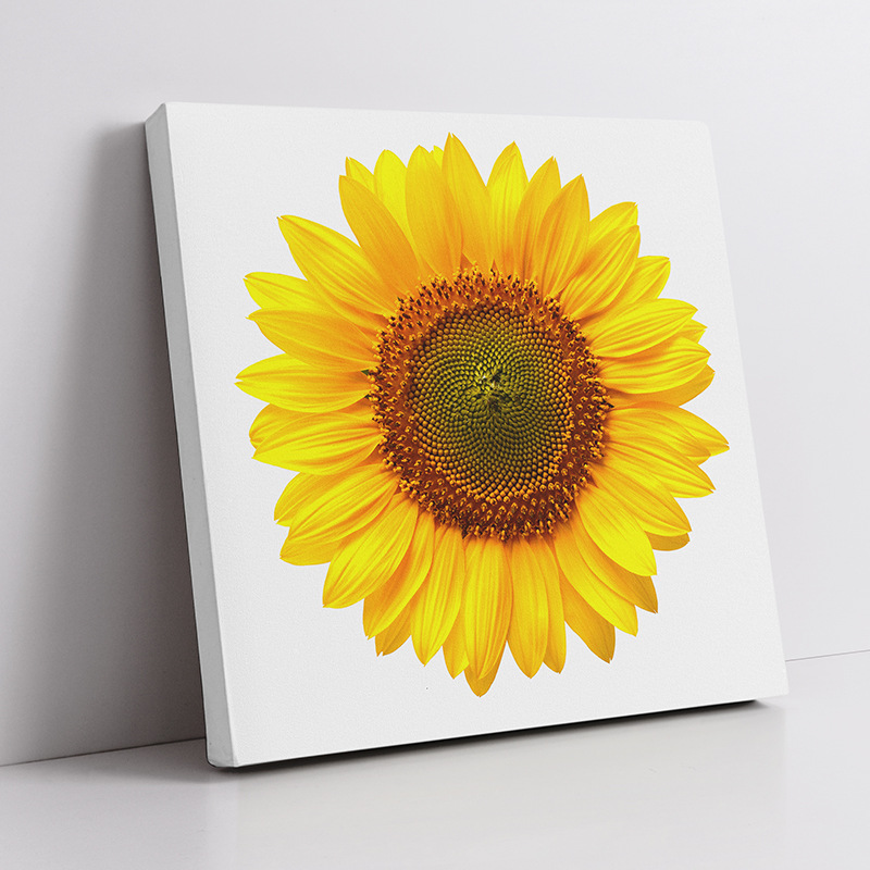 现代简约客厅装饰画向日葵花卉太阳花韩式公寓民宿方形内框无框画